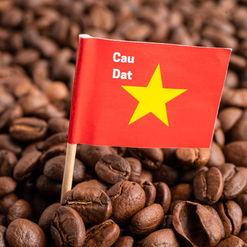 Cafea specialty din Vietnam, prăjită în aer liber