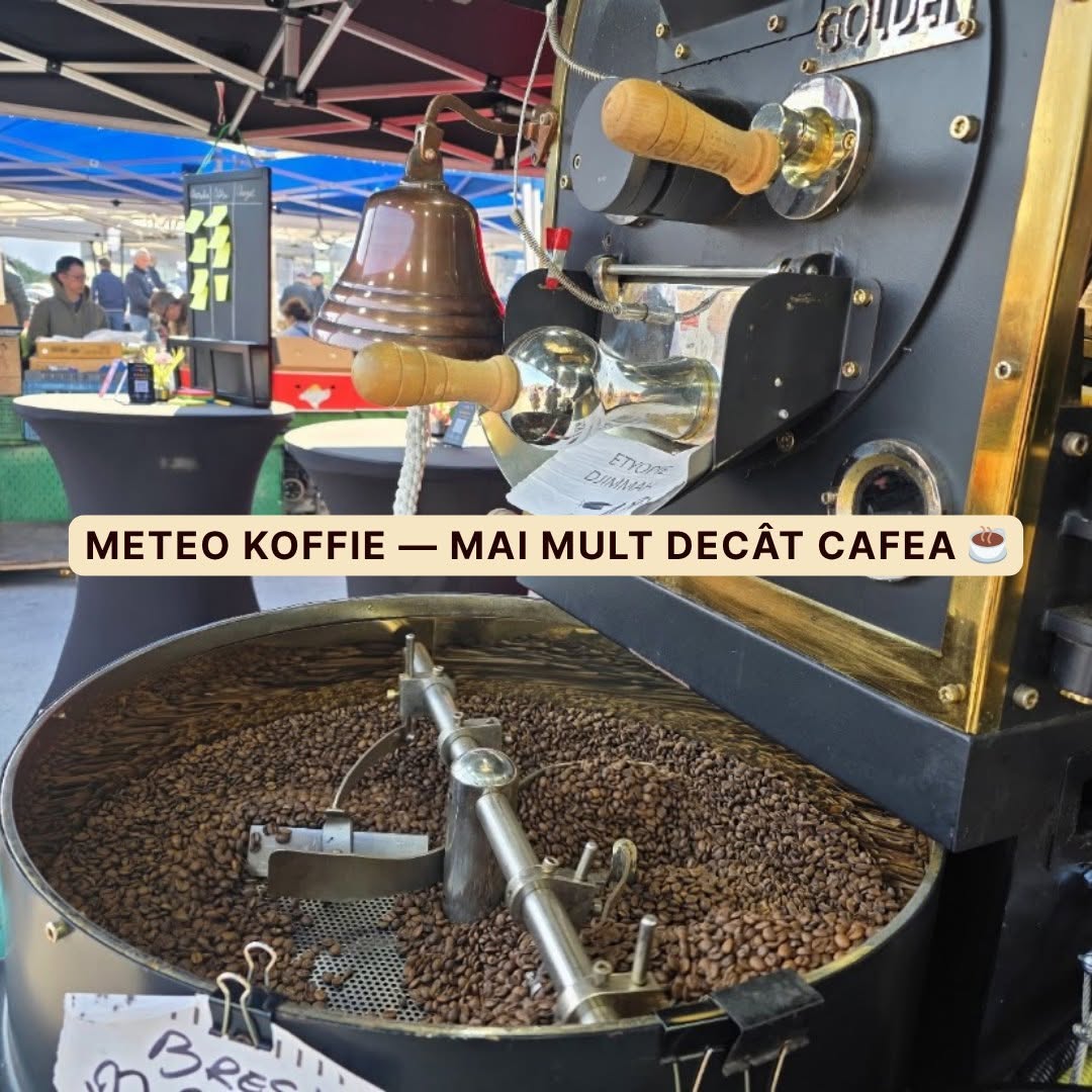Café Torréfié en Plein Air : Comment le Ciel Écrit la Recette Dans Votre Tasse