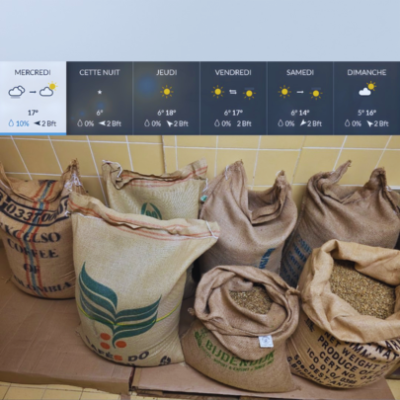 meteo koffie cafea verde in saci